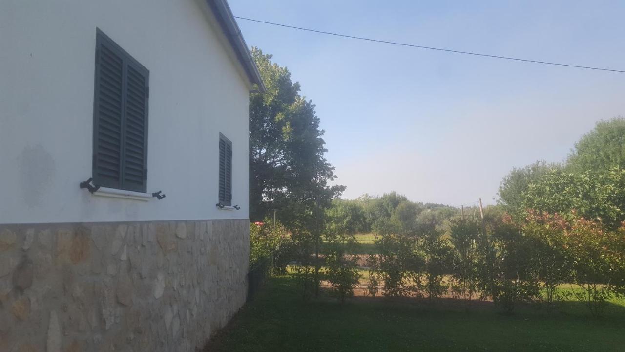 Quinta Do Serrado De Belmonte Belmonte  Exterior photo