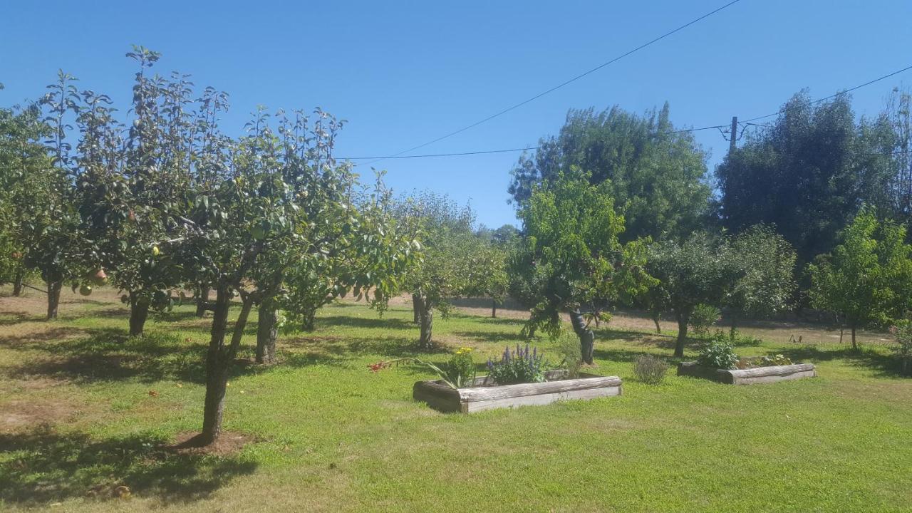 Quinta Do Serrado De Belmonte Belmonte  Exterior photo